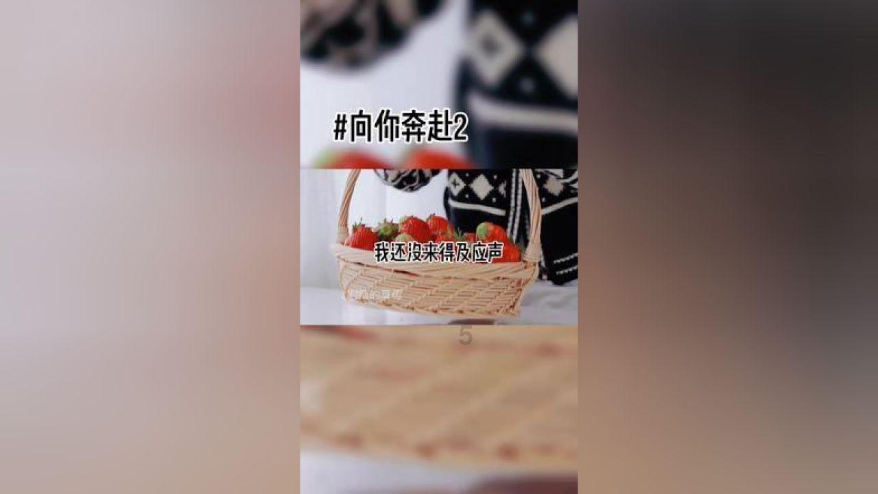 狂野的飙客无敌版